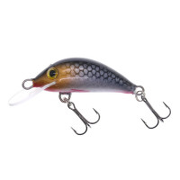Gloog Hektor 35NF, 3.5cm, 2gr (Floating)