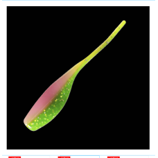 Relax Stinger Shad 5cm SS010-(8db/cs)