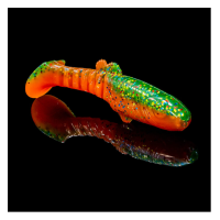 RELAX MONTANA 6.2CM LAMINAT BLISTER (5db/cs) RELAX MONTANA 6.2CM LAMINAT BLISTER (5db/cs)