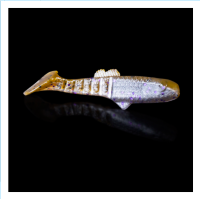 RELAX MONTANA 6.2CM LAMINAT BLISTER (5db/cs) RELAX MONTANA 6.2CM LAMINAT BLISTER (5db/cs)