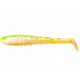 Shad Pontoon21 Awaruna DUN 2309 